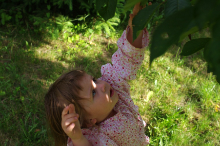 Ester trh&aacute; tře&scaron;ně.