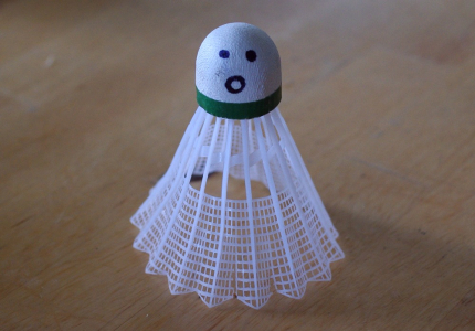 Panenka z badmintonov&eacute;ho m&iacute;čku.