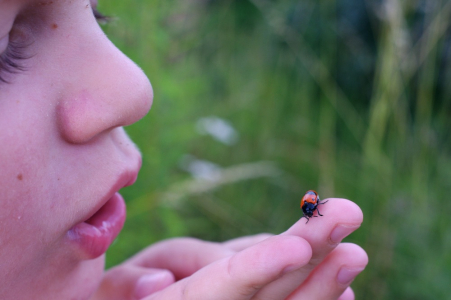 Vrbař uhlazen&yacute; na &Scaron;imonkově ruce.