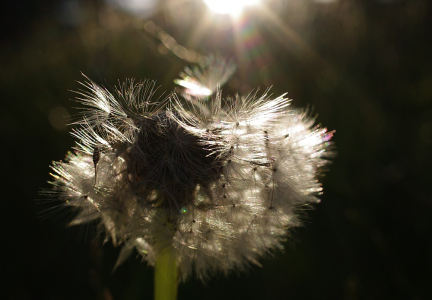 Z&aacute;pad slunce.