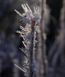 N&aacute;mraza ve slunci.