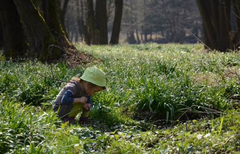 Ester průzkumn&iacute;k.