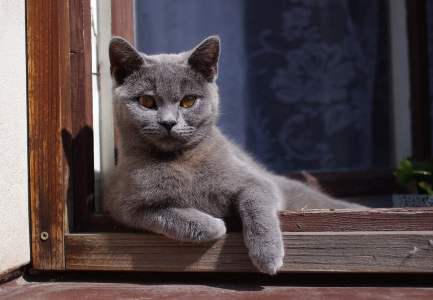 Potkali jsme Eli&aacute;&scaron;e.