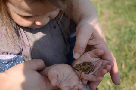 Žabička v dlan&iacute;ch.