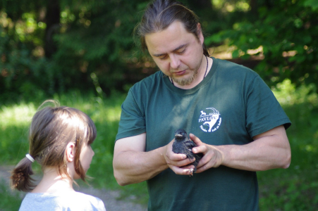 Ml&aacute;dě kavky.