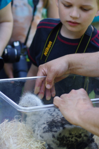 Př&iacute;prava na focen&iacute; k&aacute;něte.