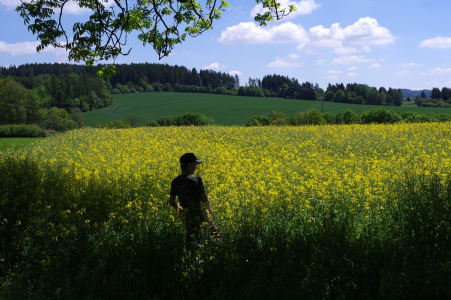 &Scaron;imon a řepka.