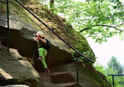 Esterka m&iacute;ř&iacute; k vrcholu.