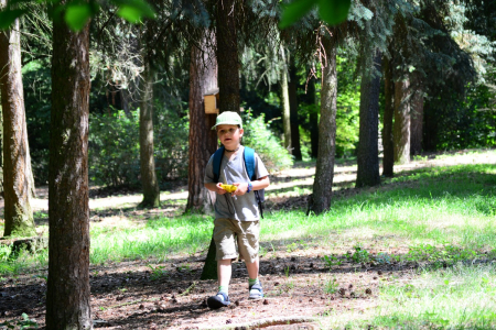 Matěj chce taky vyfotit veverku.