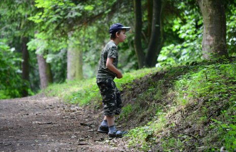 &Scaron;imon vyhl&iacute;ž&iacute; veverky.