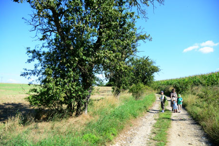 Dlouh&aacute; letn&iacute; cesta.