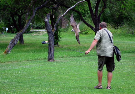 Raroh v letu, &uacute;žasn&yacute; z&aacute;žitek.
