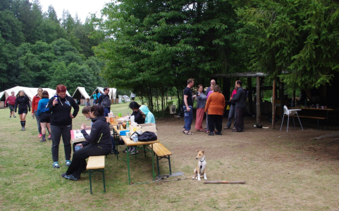 Lidi, mrňousci, psi...