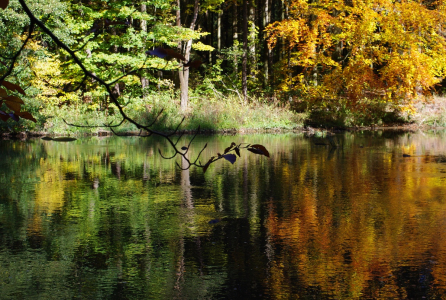 Barevn&eacute; hr&aacute;tky na S&aacute;zavě.