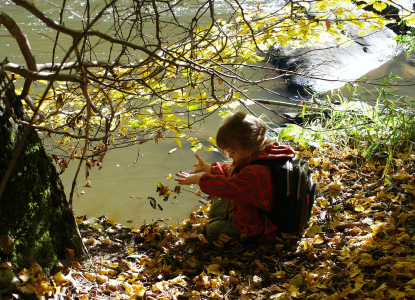 Esterka h&aacute;že list&iacute; do S&aacute;zavy.