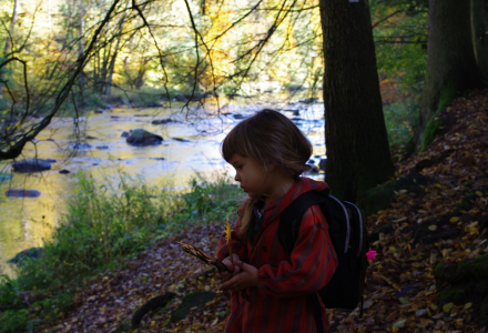 Esterka v&yacute;letnick&aacute;.