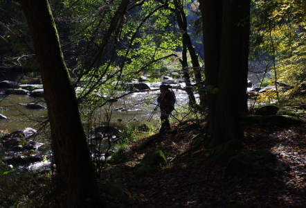 Mark&eacute;tka v akci.