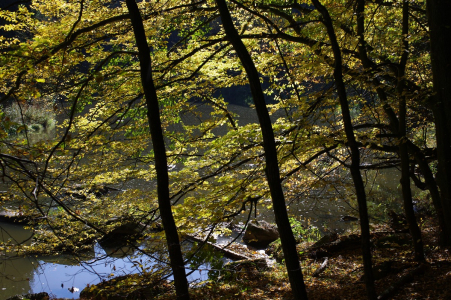 Průhled zlatou stěnou.