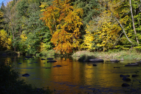 Zlat&aacute; řeka S&aacute;zava.
