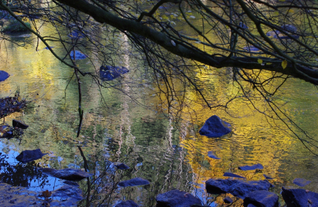 Zrcadlen&iacute; na zlat&eacute; řece.