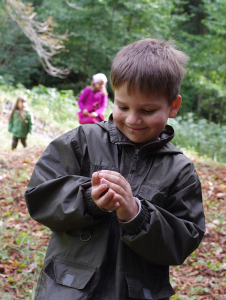Matěj sb&iacute;r&aacute; ka&scaron;tany.