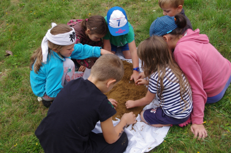 Soutěž v pěstov&aacute;n&iacute; r&yacute;že.