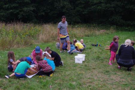 Soutěž v pěstov&aacute;n&iacute; r&yacute;že.