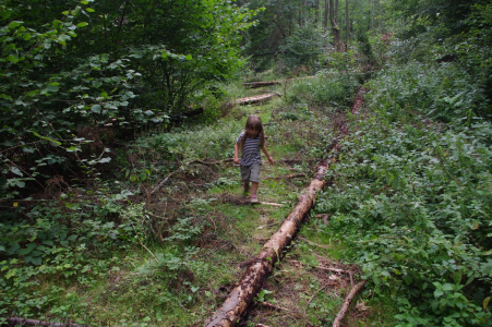 Putov&aacute;n&iacute; za perlami.