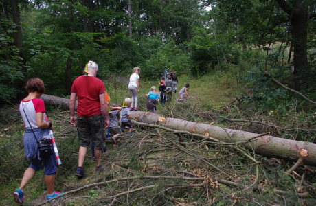 Putov&aacute;n&iacute; za perlami.