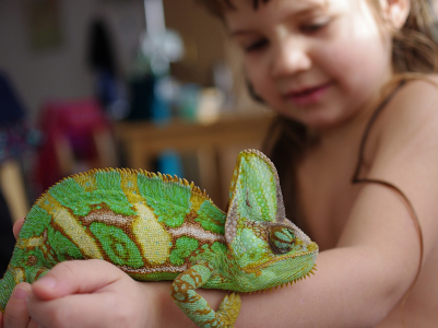 Esterka a chamo&scaron;ek.