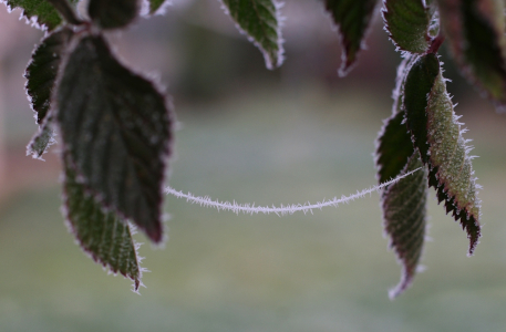 Skryt&eacute; vl&aacute;kno pavučiny.