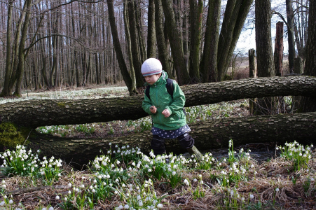 Ester mezi bledulemi.