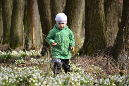 Ester na&scaron;la žabičku.