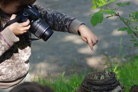 Esterka fot&iacute; drozdy.
