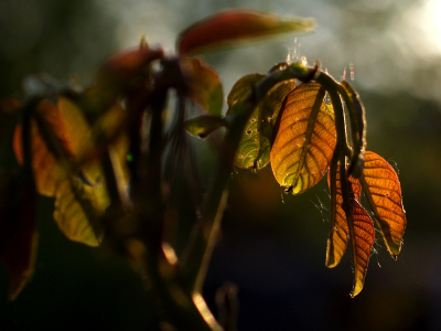 Když konč&iacute; den.