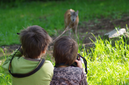 Matěj s Esterkou fot&iacute; muflona.