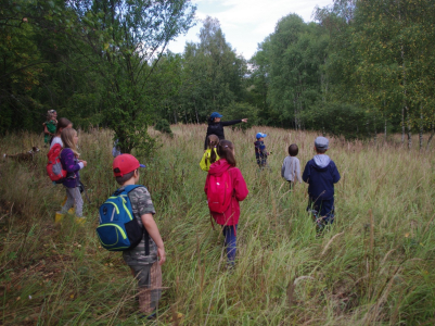 Hled&aacute;n&iacute; značek.