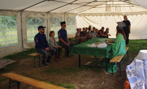 Padaj&iacute; tresty natvrdo.