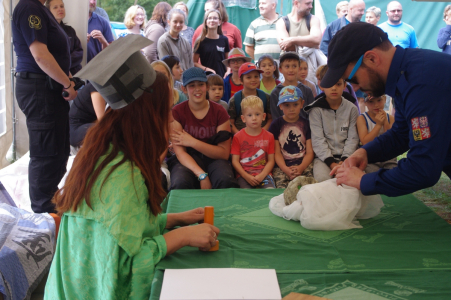 Předkl&aacute;d&aacute;n&iacute; důkazů.