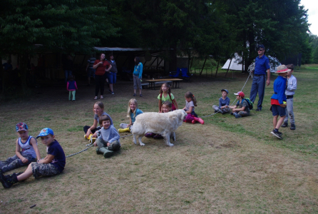 Vy&scaron;etřen&iacute; psem.
