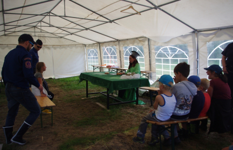 Zač&iacute;n&aacute; rychlosoud.