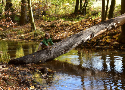 Esterka na kl&aacute;dě.