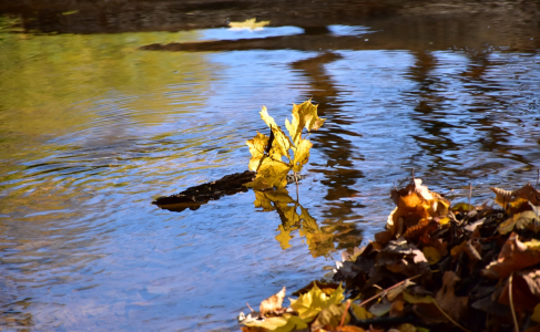 Lodička podzimn&iacute;.