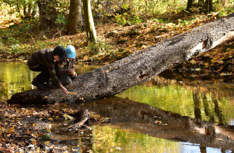 pou&scaron;t&iacute;me lodičky.