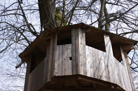 Domek ve větv&iacute;ch.