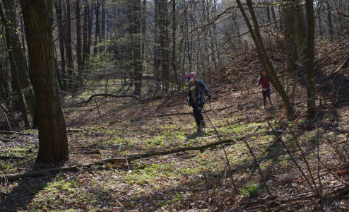 Průzkumn&iacute;ci.