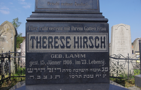 Jak se z laně stal jelen.