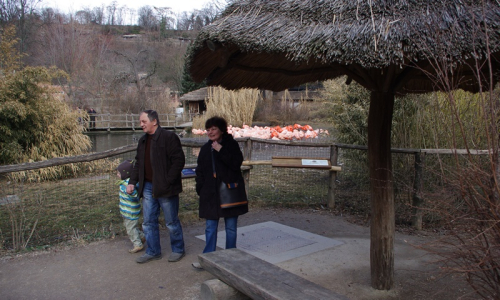 Prokůpci s &Scaron;imonem odch&aacute;z&iacute; od plameň&aacute;ků.