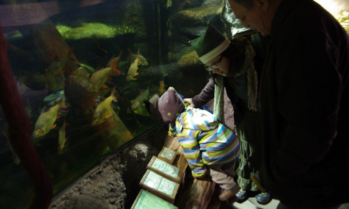 Zač&iacute;n&aacute;me indon&eacute;zskou expozici.