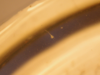 12-plavba-na-hladine